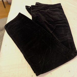 Ann Taylor Velvet Dress Pant